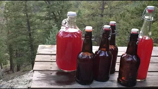 Make Wild Homemade Soda (Naturally Fermented) w/ Foraged Plants & Ginger Bug [Instructional Video]