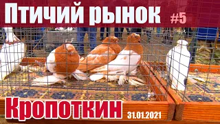 Птичий рынок. Кропоткин. Часть 5. [31.01.2021]