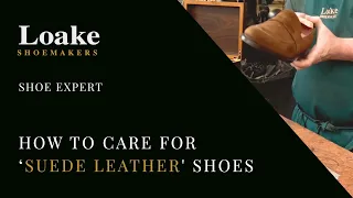 Shoe Expert | How to Care for 'Suede' Leather Shoes | Loake Shoemakers