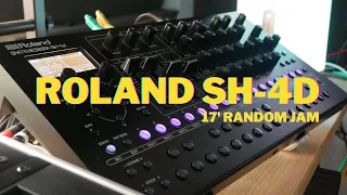 Roland SH-4d - a 17' Random Jam from Scratch!