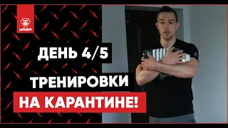 На карантине! День 4/5. Программа тренировок в домашних условиях. Фитнес дома для начинающих.