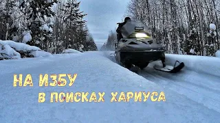 На дальнюю избу. В поисках хариуса. Февраль .2024г.