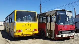 обзор автобусов Ikarus 280.08A и Ikarus 260.01 в Екатеринбурге