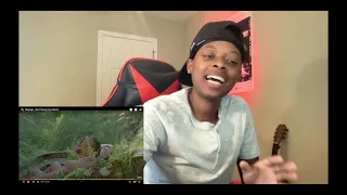 Masego-Bye Felicia  Reaction!!!