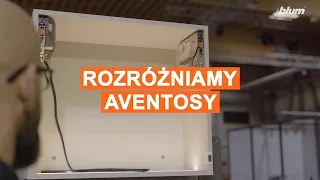 All types of AVENTOS