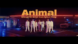 【Music Video】「Animal」 / BALLISTIK BOYZ from EXILE TRIBE