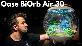 Oase BiOrb Air 30 - XXL Wabikusa