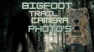 (POSSIBLE) BIGFOOT TRAIL CAMERA PHOTO'S!