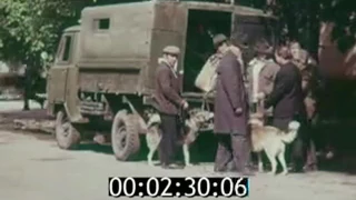 1974 отрывок из охотоведы саянской тайги