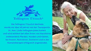 Die Tellington TTouch® Methode für Hunde