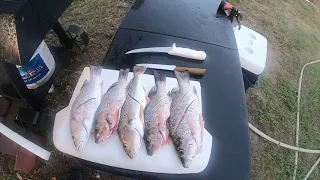 Fishing and cooking mangrove snapper in Corpus Christi Texas!!!!