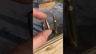 AK-74 Bullet Vs AR-15 Bullet #gun #ammo #civtac