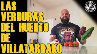 LAS VERDURAS DEL HUERTO DE VILLATARRAKO