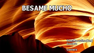 Karaoke - Besame Mucho - The Coasters