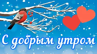 Доброго зимнего утра! Хорошего дня!#доброе утро пожелания