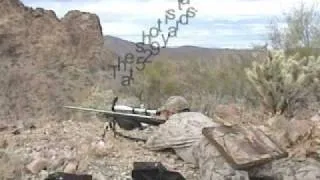 Arizona Desert Bighorn Sheep Hunting - Arizona Guided Hunts