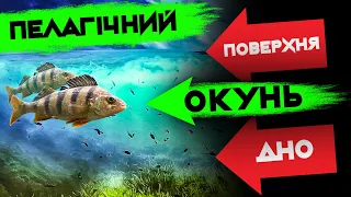 Пелагічний джиг: чому він працює в спеку в міських озерах