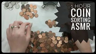 1 Hour Coin Sorting ASMR