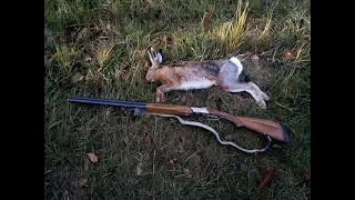 Охота на зайца, открытие 2018г. Перепел в ноябре. Момент выстрела.