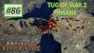 Empires of the Undergrowth #86: New Extra Level - Tug Of War 2 (INSANE)