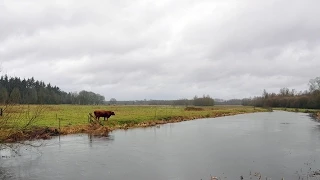 Weerbericht zondag: Veel buien, wat zon