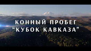 PRO_Событие. Конный пробег "Кубок Кавказа". 19 ноября 2023 года. 13:50