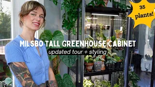 all of the plants in my ikea greenhouse cabinet (milsbo tall edition!)