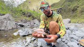 Rainbow trout fishing - Reunion Island