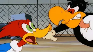 Woody wants to win the race! | Woody Woodpecker