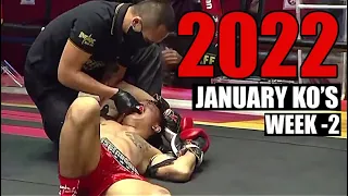 MMA & Boxing Knockouts I January 2022 Week 2
