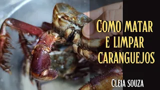 COMO MATAR E LIMPAR CARANGUEJO VIVO,