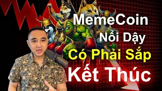 MEME Coin X100 Chỉ Qua 1 Đêm, Dấu Hiệu Cuối Của Mùa Tăng Trưởng ?