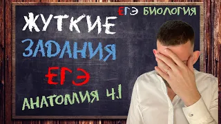 Жуткие задания по анатомии Ч.1 | ЕГЭ БИОЛОГИЯ