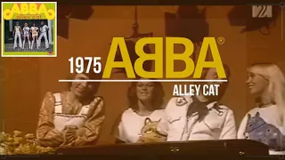 ᗅᗺᗷᗅ - Alley Cat | HD UNOFFICIAL MUSIC VIDEO |