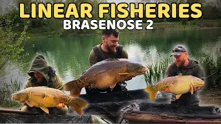 LINEAR FISHERIES 48 hours on Brasenose 2 ONLY CARP VLOG