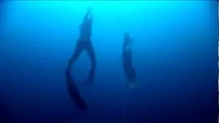 SUUNTO & William Trubridge 101m CNF World Record FREE-DIVE