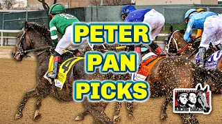 Belmont At The Big A Picks | Peter Pan Stakes 2024 [Belmont Stakes Prep]