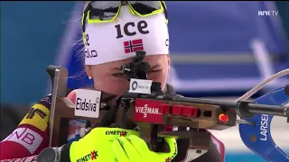 Biathlon - Ups & Downs