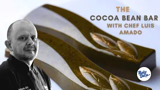 The Cocoa Bean by Luis Amado