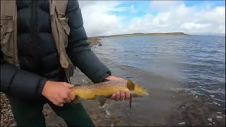 Trout Fishing | Great Lake | Tasmania