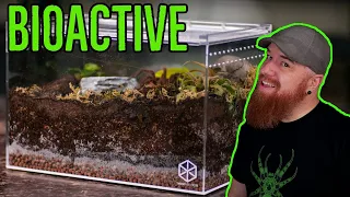 How To Build a Tarantula Bioactive Enclosure - YOU CAN DO IT!