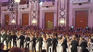 🇦🇹Vienna Ball WU 2023, Students perfect dance. Венский бал, студенты-дебютанты