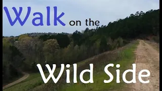 WALK ON THE WILD SIDE | ASMR | CRUNCHY GRAVEL WALK