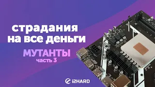 «Страдания на все деньги».  Мутанты, часть 3. — Тест i7-11800H vs i3-12100 vs i3-10105