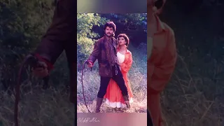 Hifazat 1987 Hindi movie photos album/Anil Kapoor/Madhuri Dixit/Bollywood 1980's