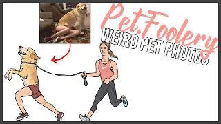 Weird Pet Photos Turned Real? | Funny Animal Comics | Pet_Foolery Comic Dub