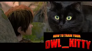 How To Train Your Dragon - Starring my cat OwlKitty