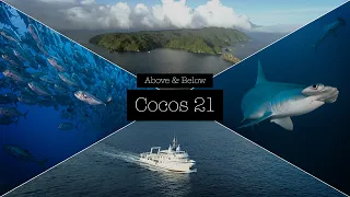 Cocos Island 2021 - Cocos Island is one of the most beautiful islands above and below 4K-DivingVideo