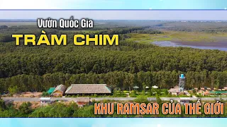 TRÀM CHIM – KHU RAMSAR CỦA THẾ GIỚI | BẠN CÓ BIẾT ?