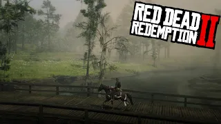Nature of Red Dead Redemption 2 | Photo Mode